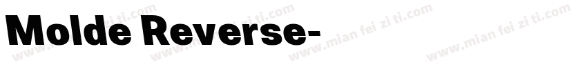 Molde Reverse字体转换